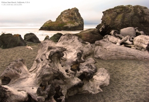Driftwood and Hunter Rock at Pelican State Beach in Smith River, California, USA.